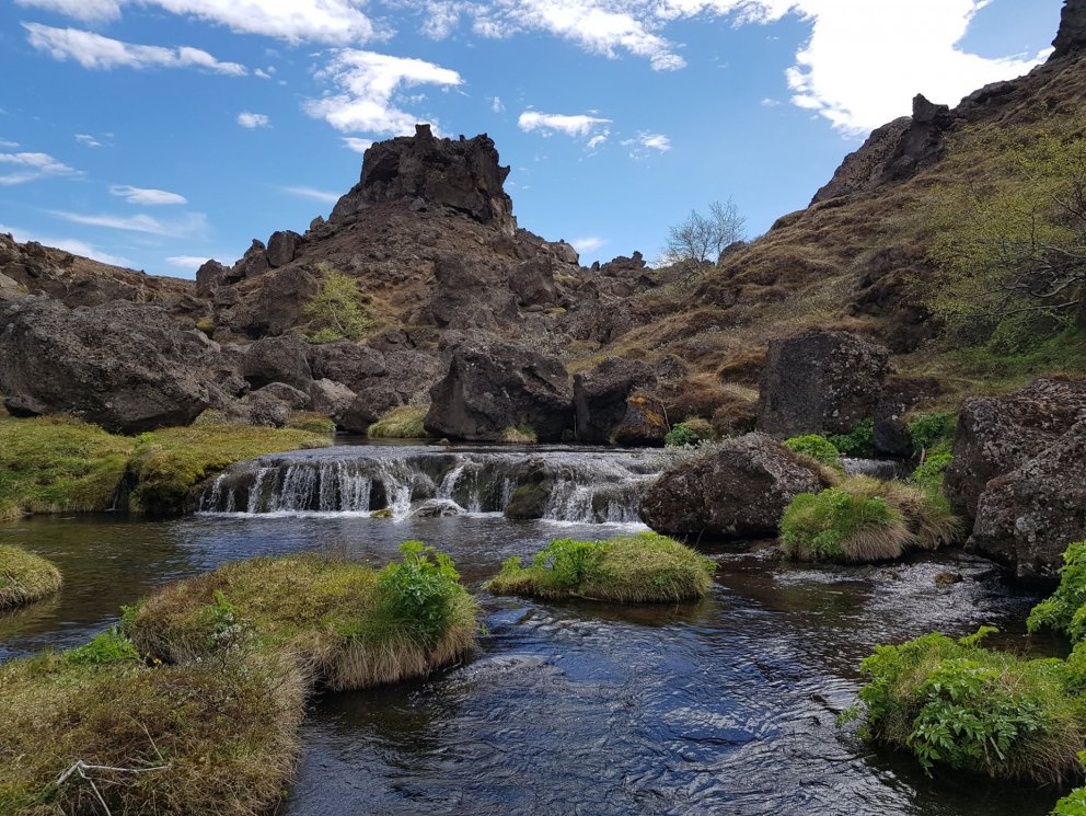 Uppgræðsla og útivist á vegum NÍN