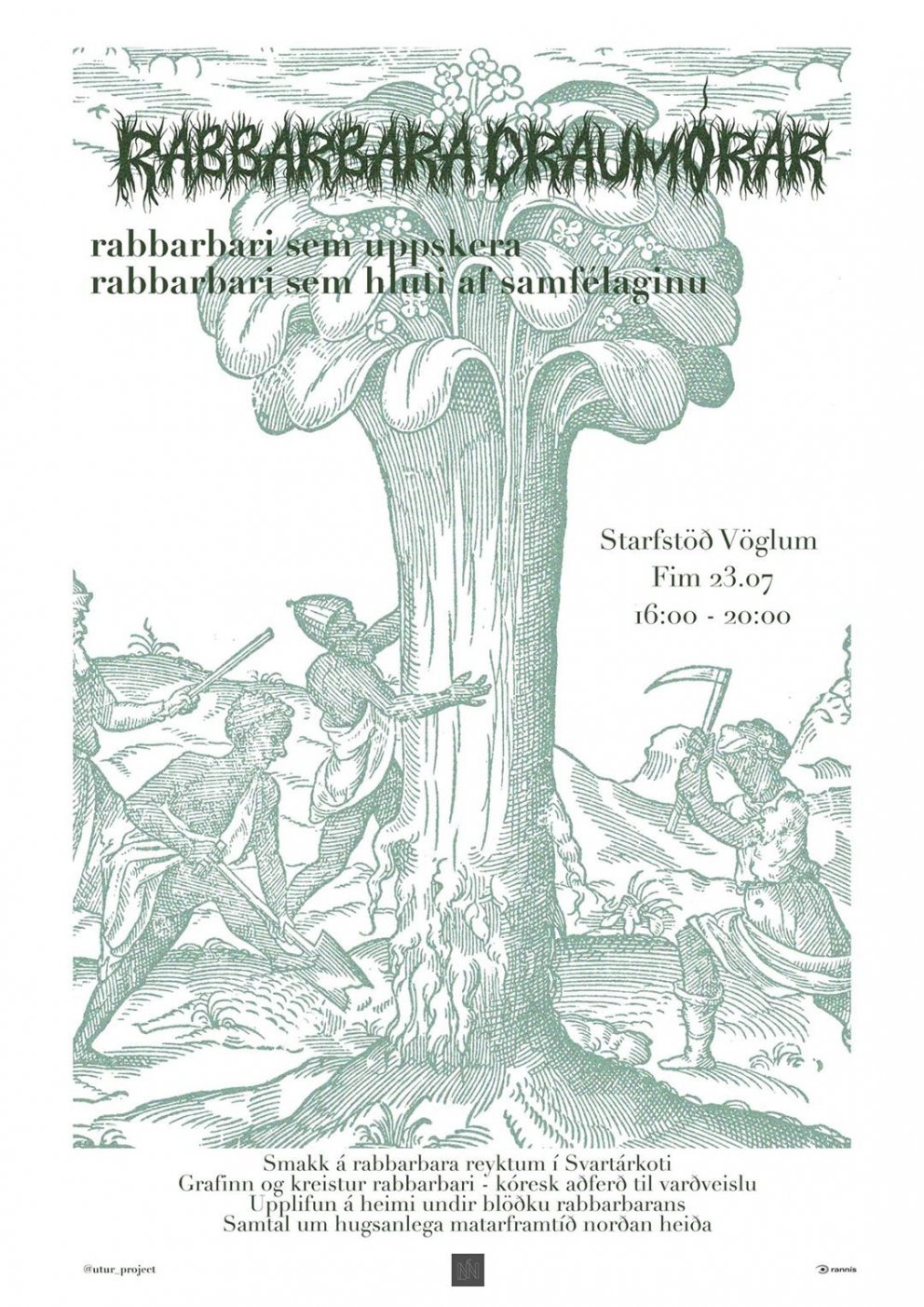 Hvað er nýtt í rabarbara?