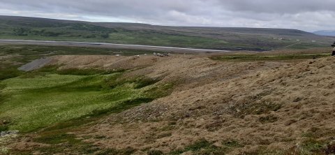 Aðgerðir NÍN - Kolefnisbinding með skógrækt og landgræðsla með nýtingu heyfyrninga (aðgerð 2)