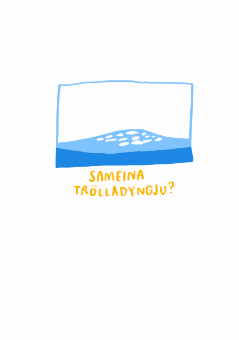 Hverjir mega velja nafn á sveitarfélagið?